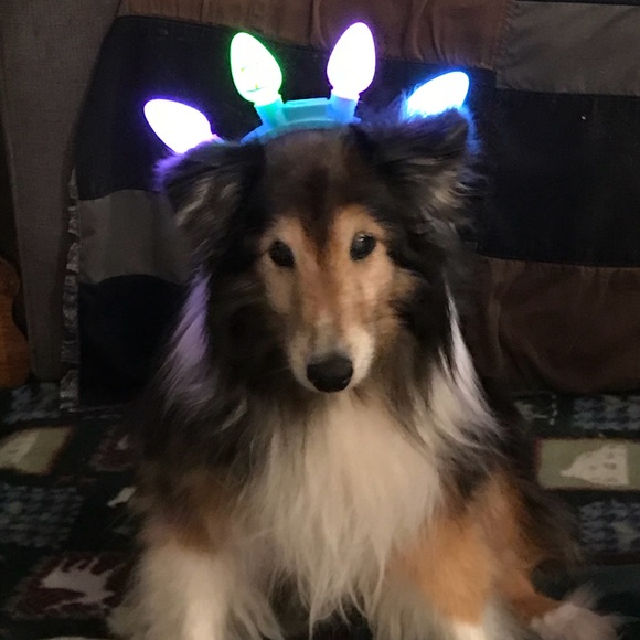 Meet your Posher, Claudia - Picture 3 of 5